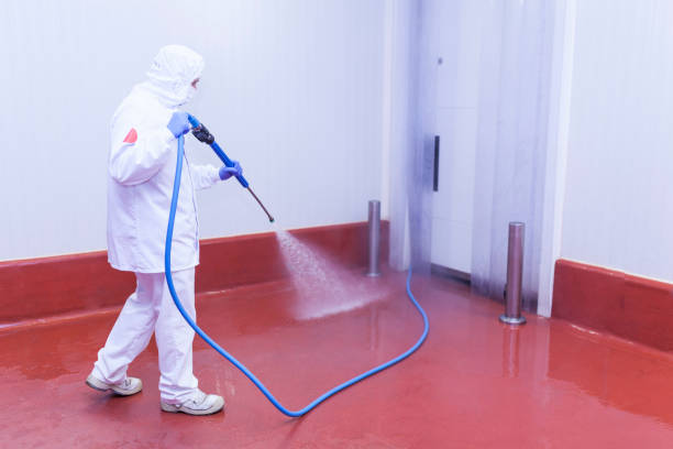 Post-Construction Pressure Washing in Brent, FL